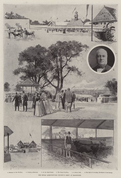De Koninklijke Landbouwmaatschappij Show in Maidstone door Joseph Holland Tringham