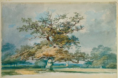Een landschap met een oude eik door Joseph Mallord William Turner