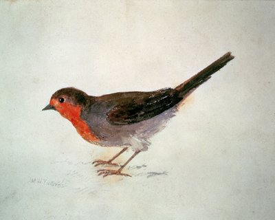 Roodborstje, uit The Farnley Book of Birds, c.1816 door Joseph Mallord William Turner