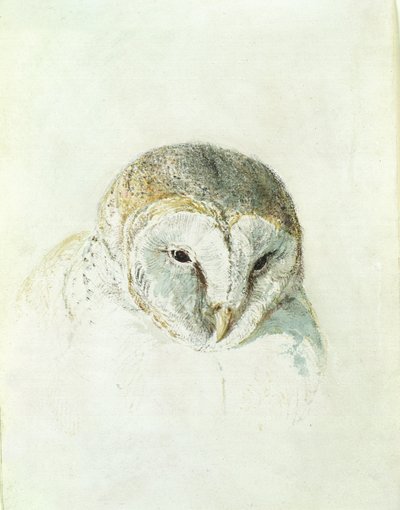 Witte Kerkuil, uit Het Farnley Boek van Vogels door Joseph Mallord William Turner