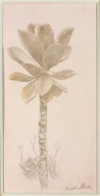 Bloemen door Joseph Stella
