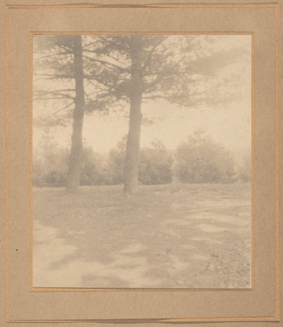 Landschap met bomen,c. 1900 (foto) door Joseph T. Keiley
