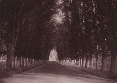 Oprijlaan, Château de Grand-Vaux, Savigny-sur-Orge, het familiehuis van Vigier,c. 1855 (foto) door Joseph Vigier