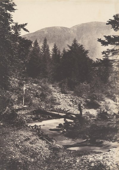 Torrent de la cascade des Demoiselles, Bagnères de Luchon, 1853 door Joseph Vigier