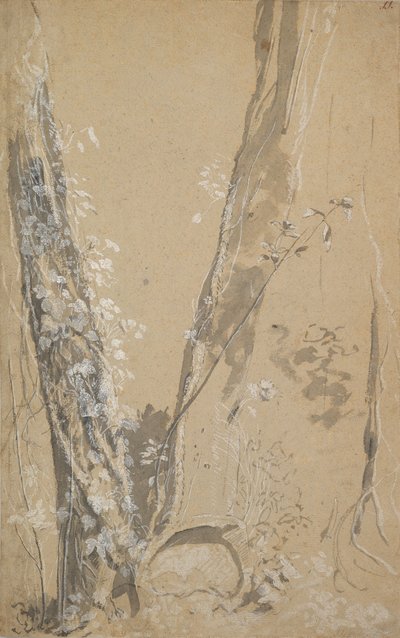 Studie van Overwoekerde Bomen, verso: Studie van een Cipres en Twee Overwoekerde Bomen door Joseph Werner