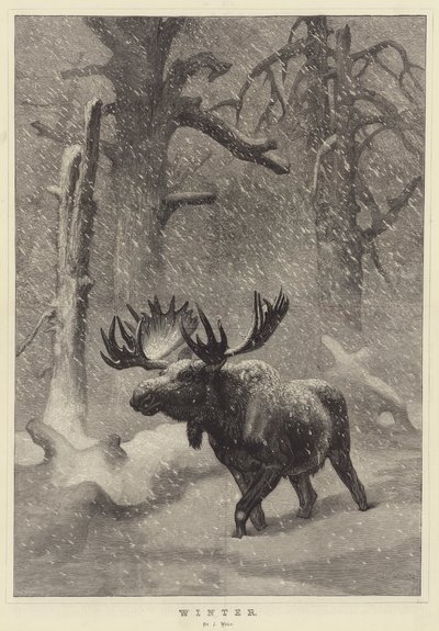 Winter door Joseph Wolf