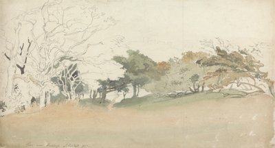 Bomen bij Hastings door Joshua Cristall