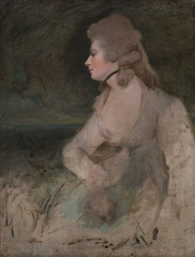 Mevrouw Robinson door Joshua Reynolds