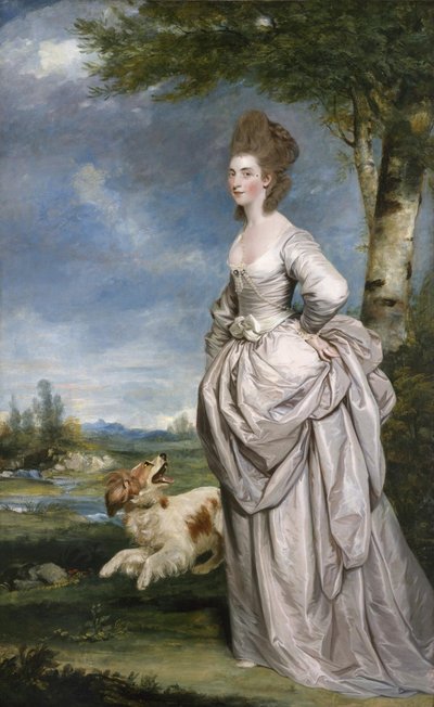  door Joshua Reynolds
