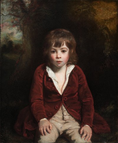  door Joshua Reynolds