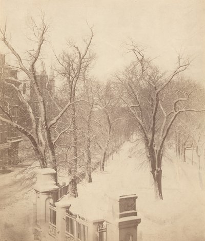 Boston Common Sneeuw Scène,jaren 1850 (foto) door Josiah Johnson Hawes