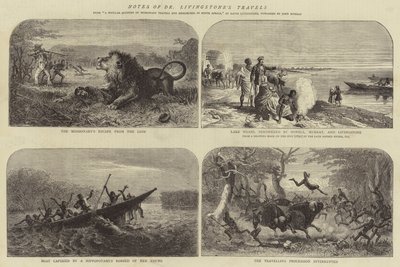 Aantekeningen van Dr. Livingstone
