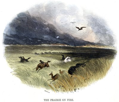 Prairie in Brand, uit Verschijnselen van de Natuur, 1849 door Josiah Wood Whymper