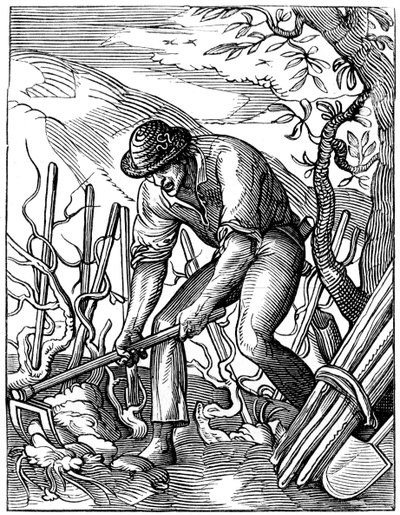 Wijnmaker, 16e eeuw, 1849 door Jost Amman