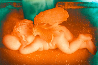 Gouden Cherubijn, 2016 (foto) door Joy Lions