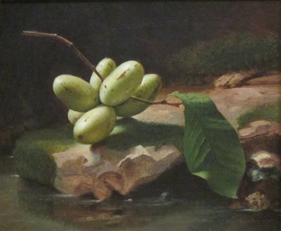 Stilleven met Paw Paws door Jr. Edward Edmondson