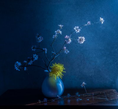  door Judy Tseng