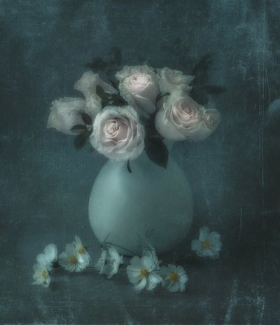  door Judy Tseng