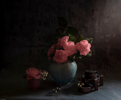  door Judy Tseng