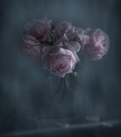 Stemmige roze rozen door Judy Tseng