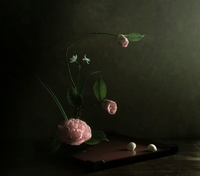  door Judy Tseng