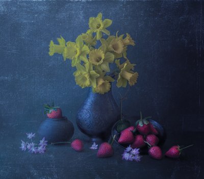  door Judy Tseng