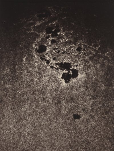 Zonder titel (Studie van het oppervlak van de zon),1893 (foto) door Jules Janssen
