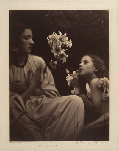  door Julia Margaret Cameron