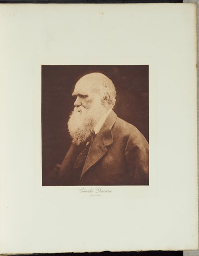  door Julia Margaret Cameron