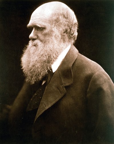 Charles Darwin, Britse natuuronderzoeker, ca. 1870s door Julia Margaret Cameron