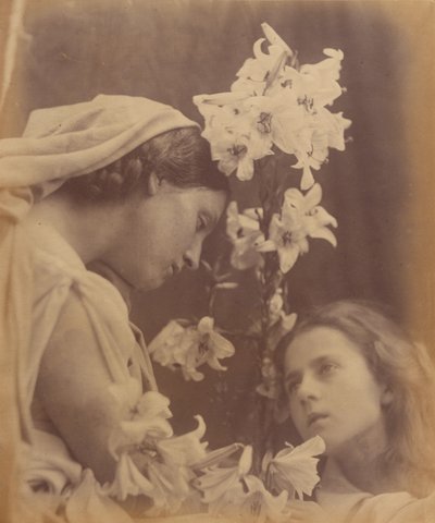  door Julia Margaret Cameron