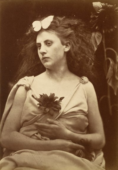 De zonnebloem door Julia Margaret Cameron