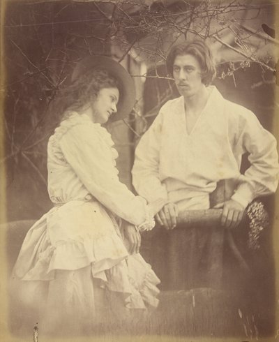 Ze noemen me harteloos, het kan me niet schelen door Julia Margaret Cameron