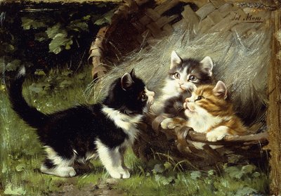 Is er nog plaats in de mand? door Julius Adam