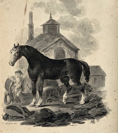 Een trekpaard voor de trekkar met de voerman door Julius Caesar Ibbetson