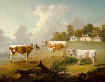 Drie Langhoornige Runderen in Landschap door Julius Caesar Ibbetson