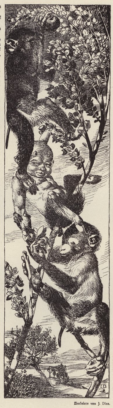 Apen plukken fruit in een boom (litho) door Julius Diez