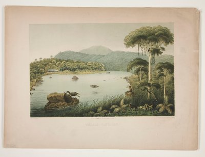 Telaga - Patengan door Julius Friedrich Tempeltey