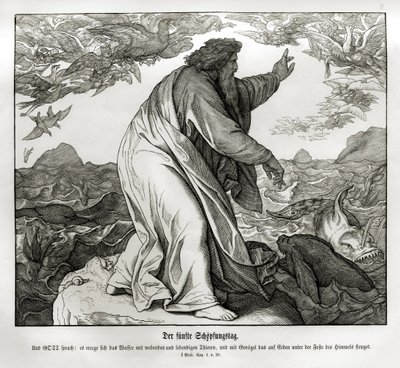 Vijfde dag van de schepping, Genesis door Julius Schnorr von Carolsfeld
