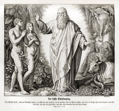 Zesde dag van de schepping, Genesis door Julius Schnorr von Carolsfeld