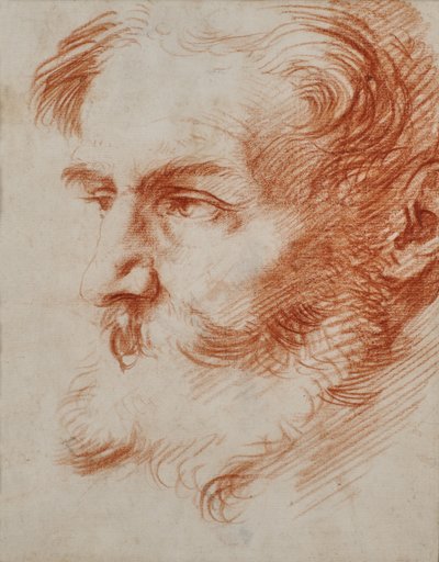 Hoofd van een bebaarde man door Jusepe de Ribera