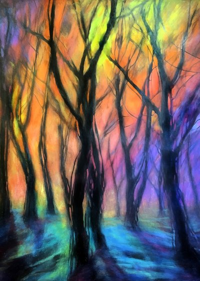 Lichtjes in het betoverde bos door Justyna Jaszke