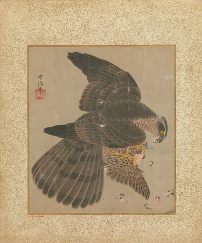 Album van Haviken en Kalligrafie, 17e-18e eeuw door Kanô Yôboku Tsunenobu