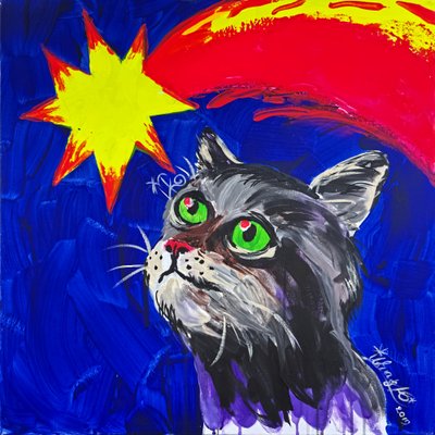 Kat en komeet door Kanat Ibragimov