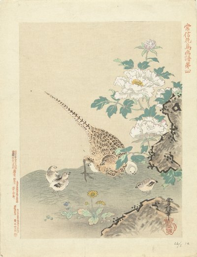 Kwartel met kuikens door Kano Tsunenobu