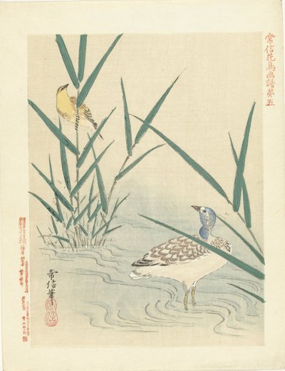 Watervogel kijkend naar gele zangvogel door Kano Tsunenobu