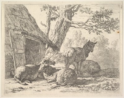 Vier schapen, een schaap staat tussen drie anderen die op de grond liggen naast een schuur, 1658 door Karel Du Jardin