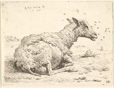 Gedeeltelijk geschoren schaap liggend in het gras met insecten rond zijn hoofd, 1655 door Karel Du Jardin