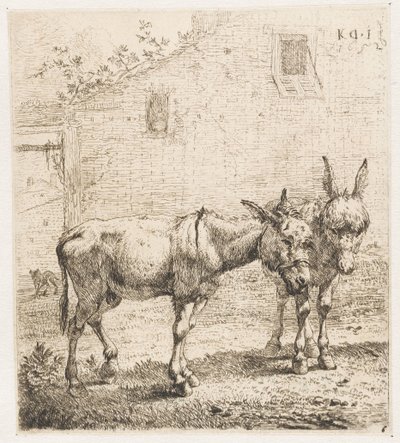Twee ezels door Karel Du Jardin