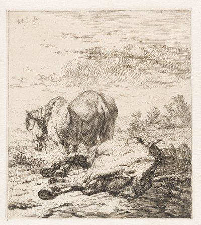 Twee paarden (Dieren) door Karel Du Jardin